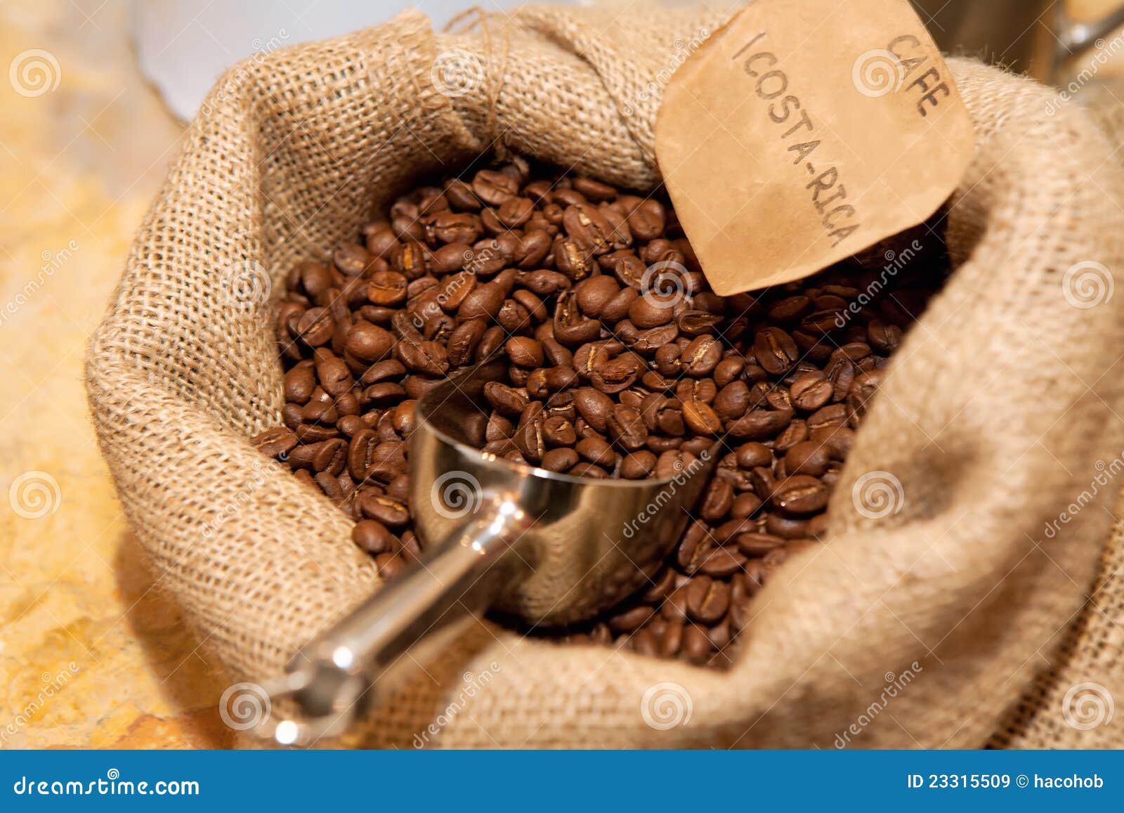 Sack of Roasted Coffee Beans with Metal Scoop Stock Image Image of