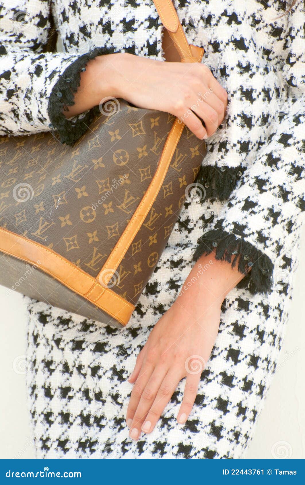 Saco E Chanel Do Monograma De Louis Vuitton Foto Editorial