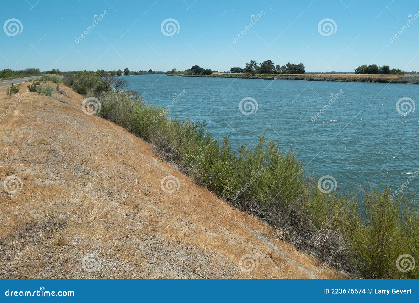 Sacramento River in the Delta Area Stock Photo Image of flowers