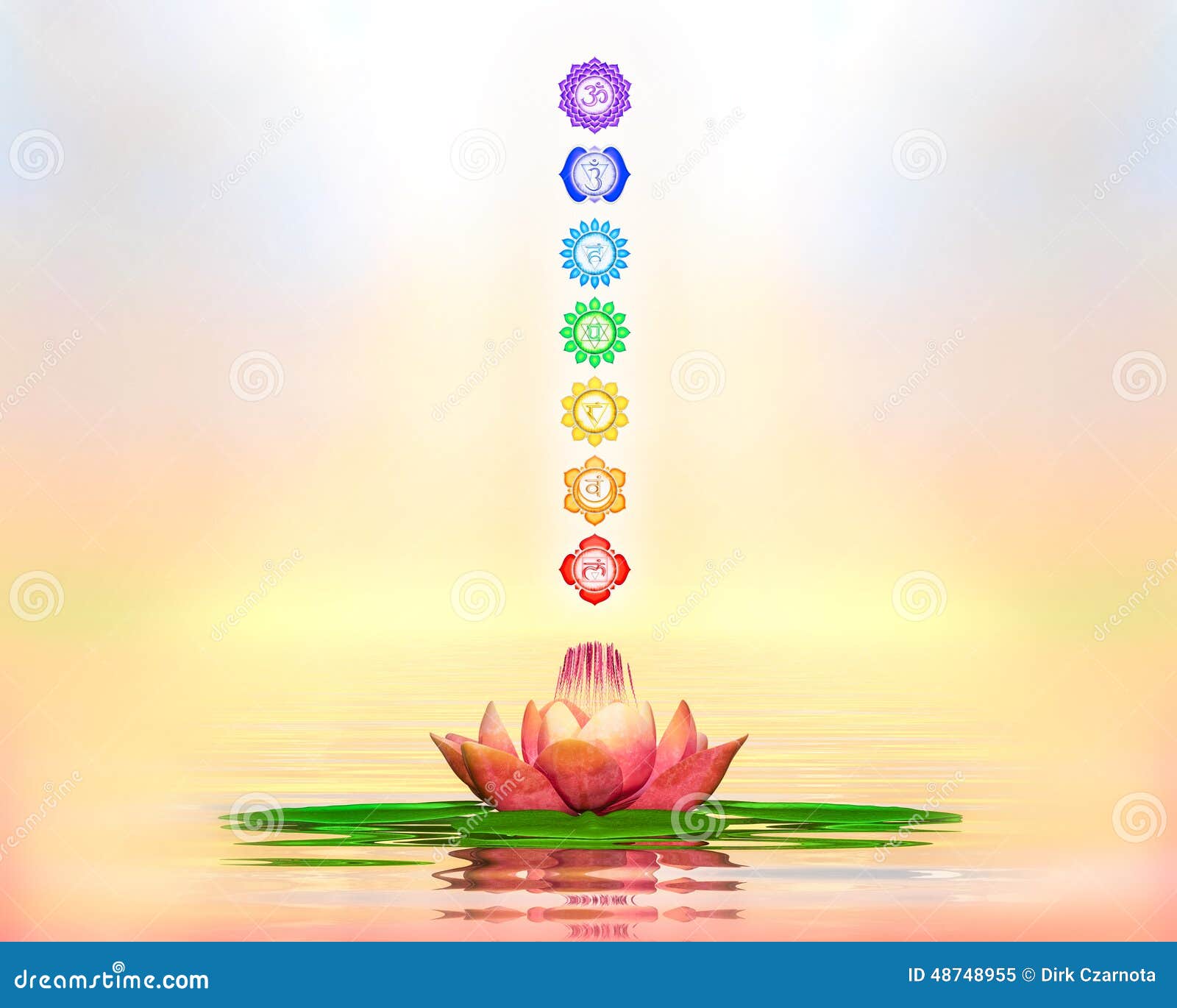 chakras lotus