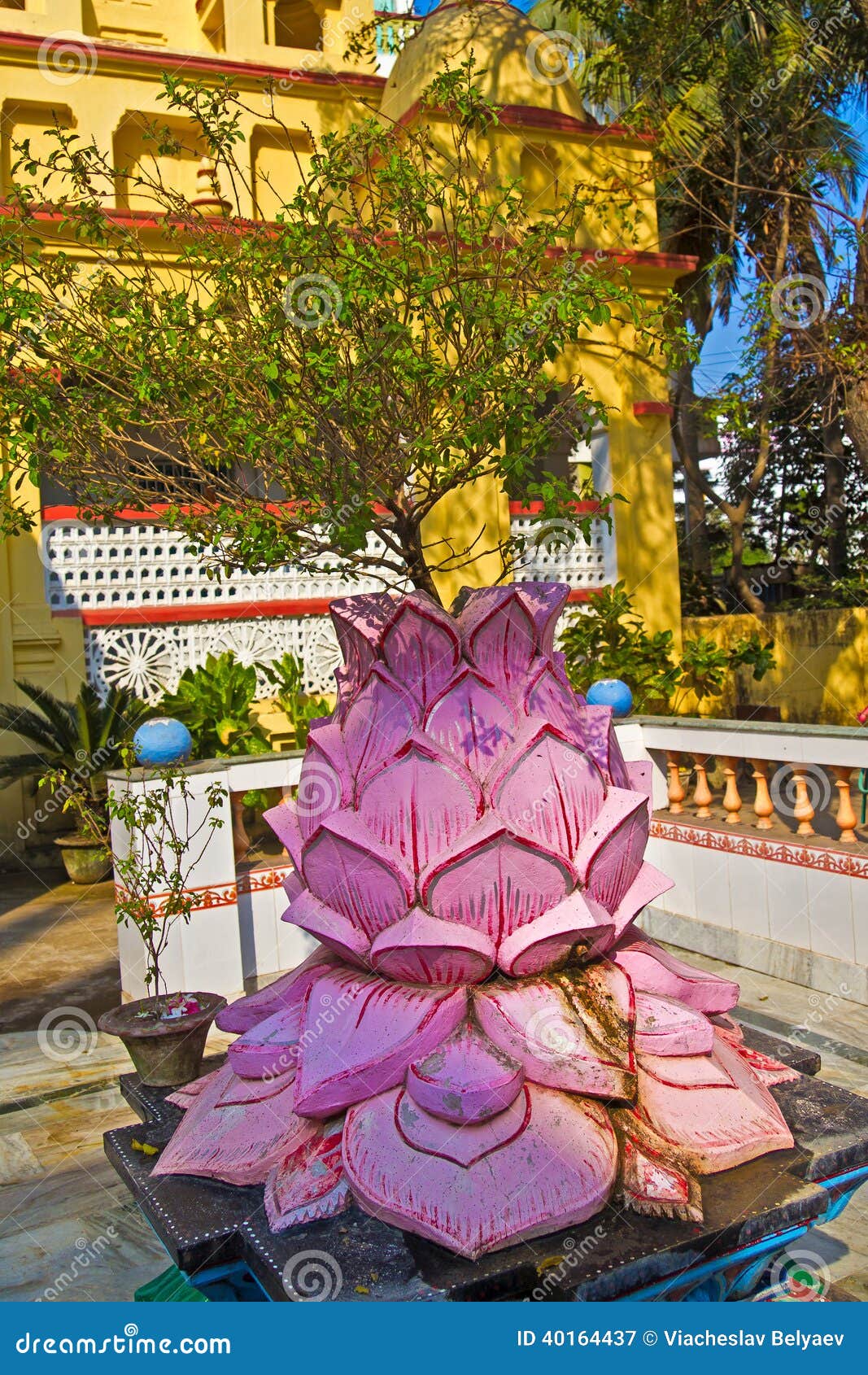 Sacred Tulasi stock image. Image of sacred, beloved, worship ...