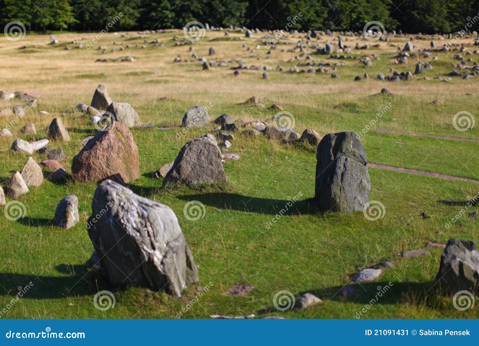 sacred viking burial ground