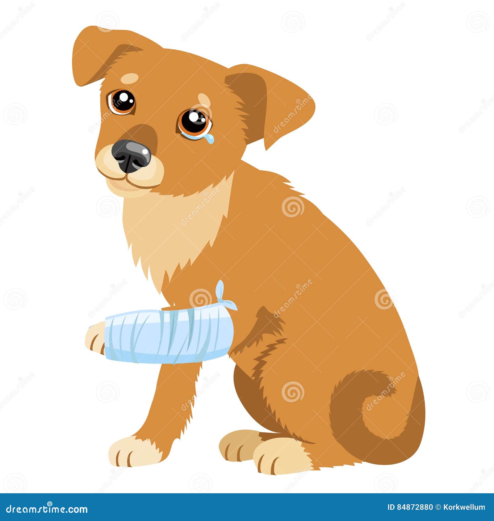 sad dog story.   of cute sad dog or puppy. sick dog with splinting leg. veterinary theme.