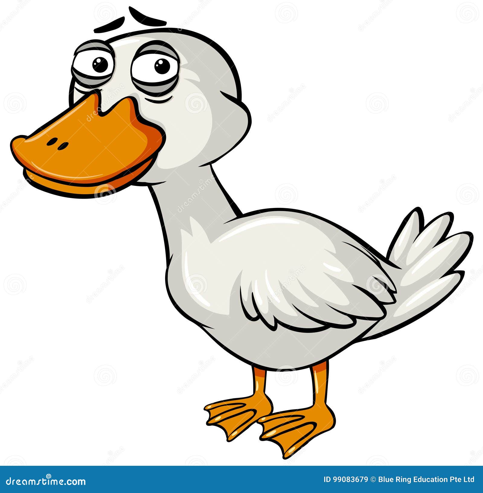 Sad Duck on White Background Stock Vector Illustration of feeling