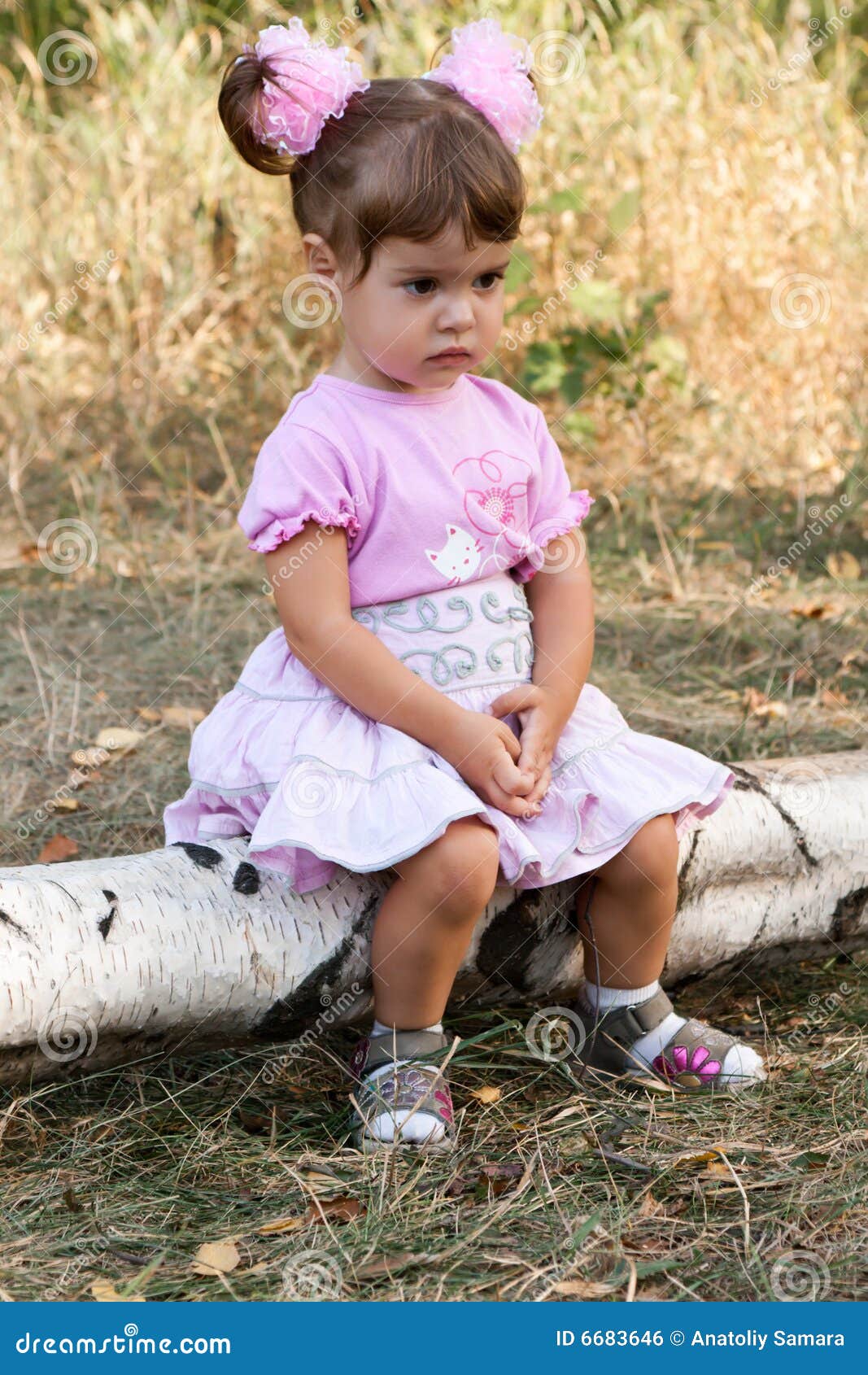 Sad Little Girl Sitting on Log Stock Photo - Image of birch, nice: 6683646