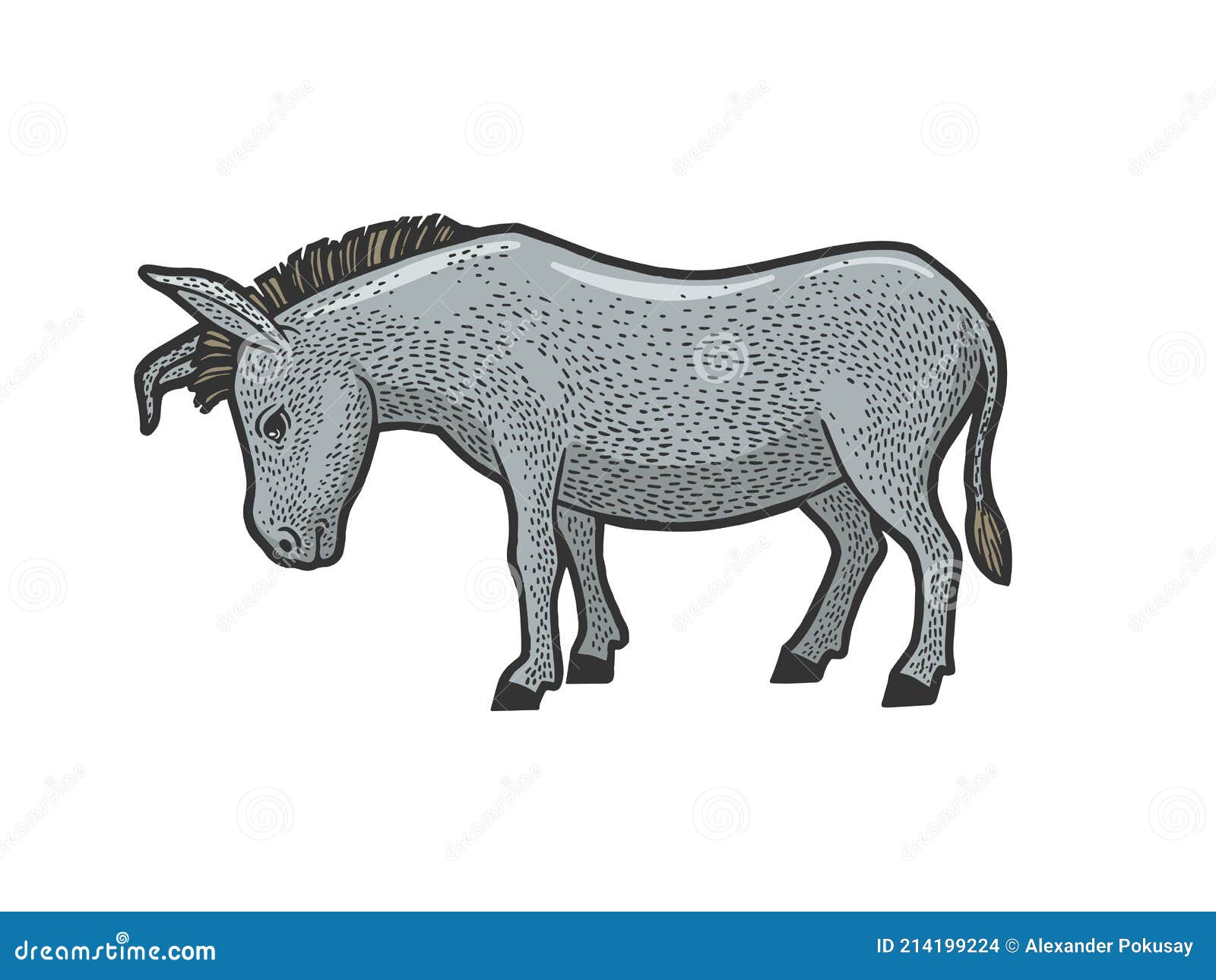 15 Sample Donkey sketch burro drawing democrat for Sketch Art Girl