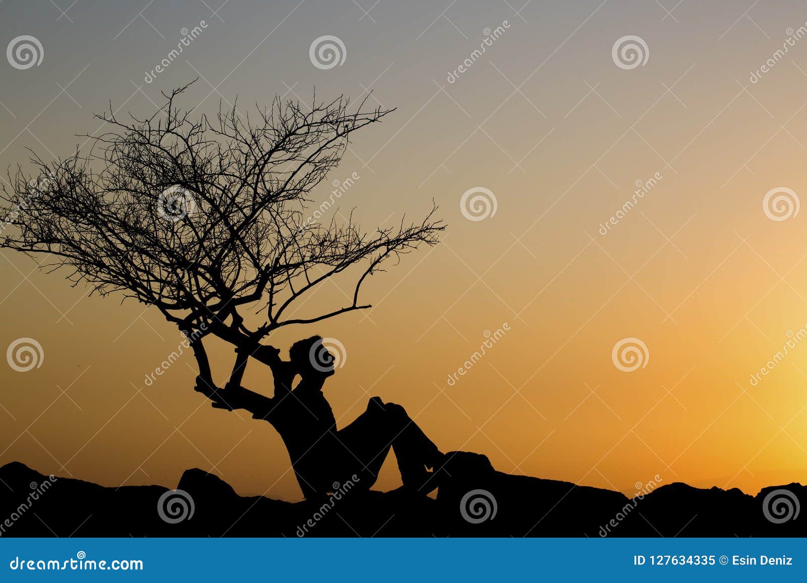 young man sad silhouette in studio isolated on white background Stock Photo  - Alamy