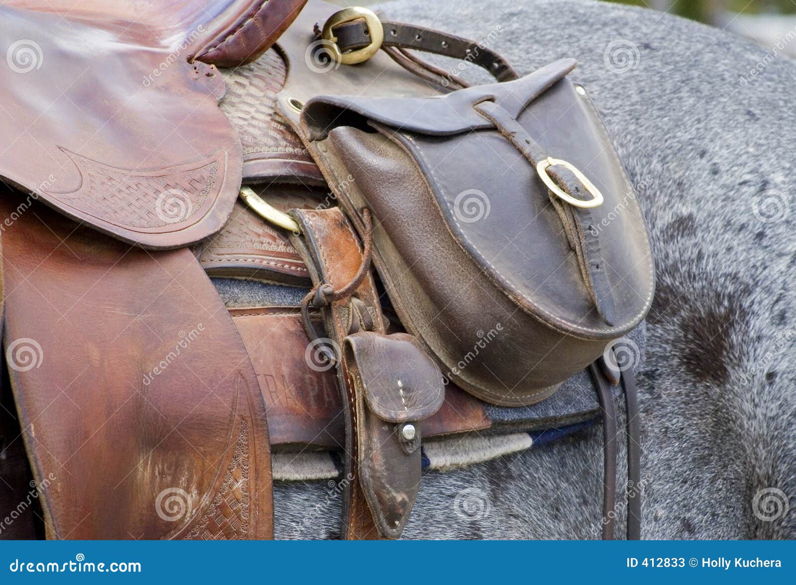 saddle bag on horse