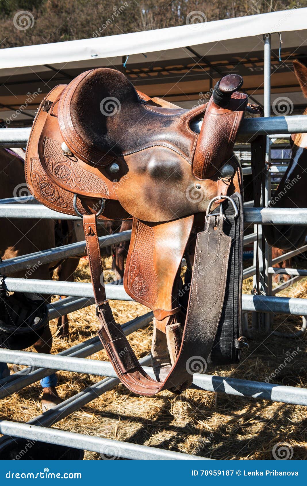 The Saddle for Rodeo and Horseback Riding Stock Image Image of