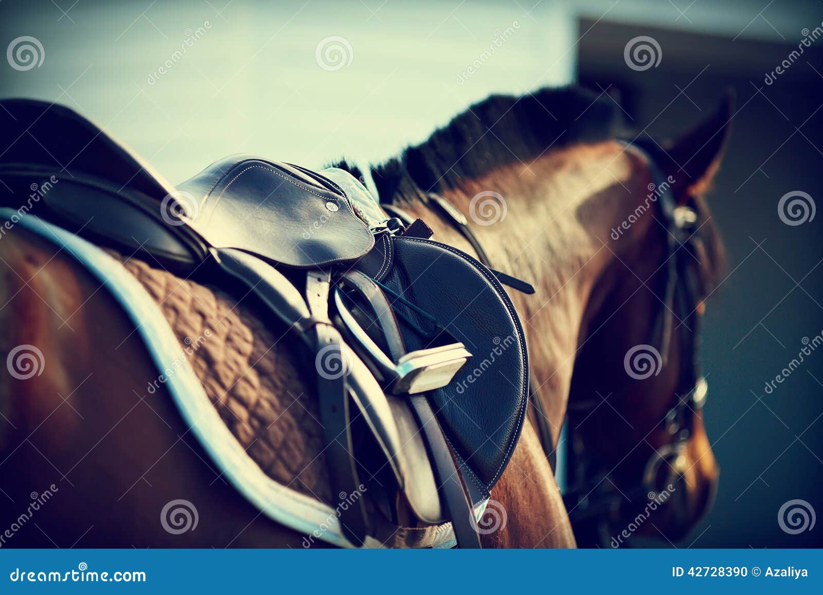 Saddle with stirrups stock photo. Image of farm, grace 42728390