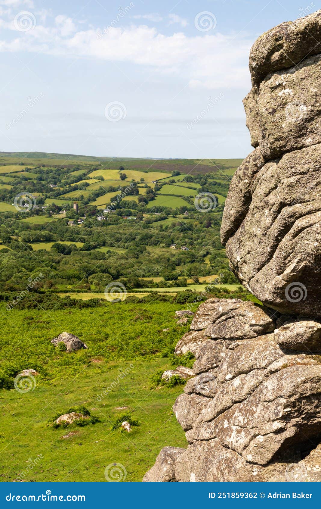 dartmoor, devon, england