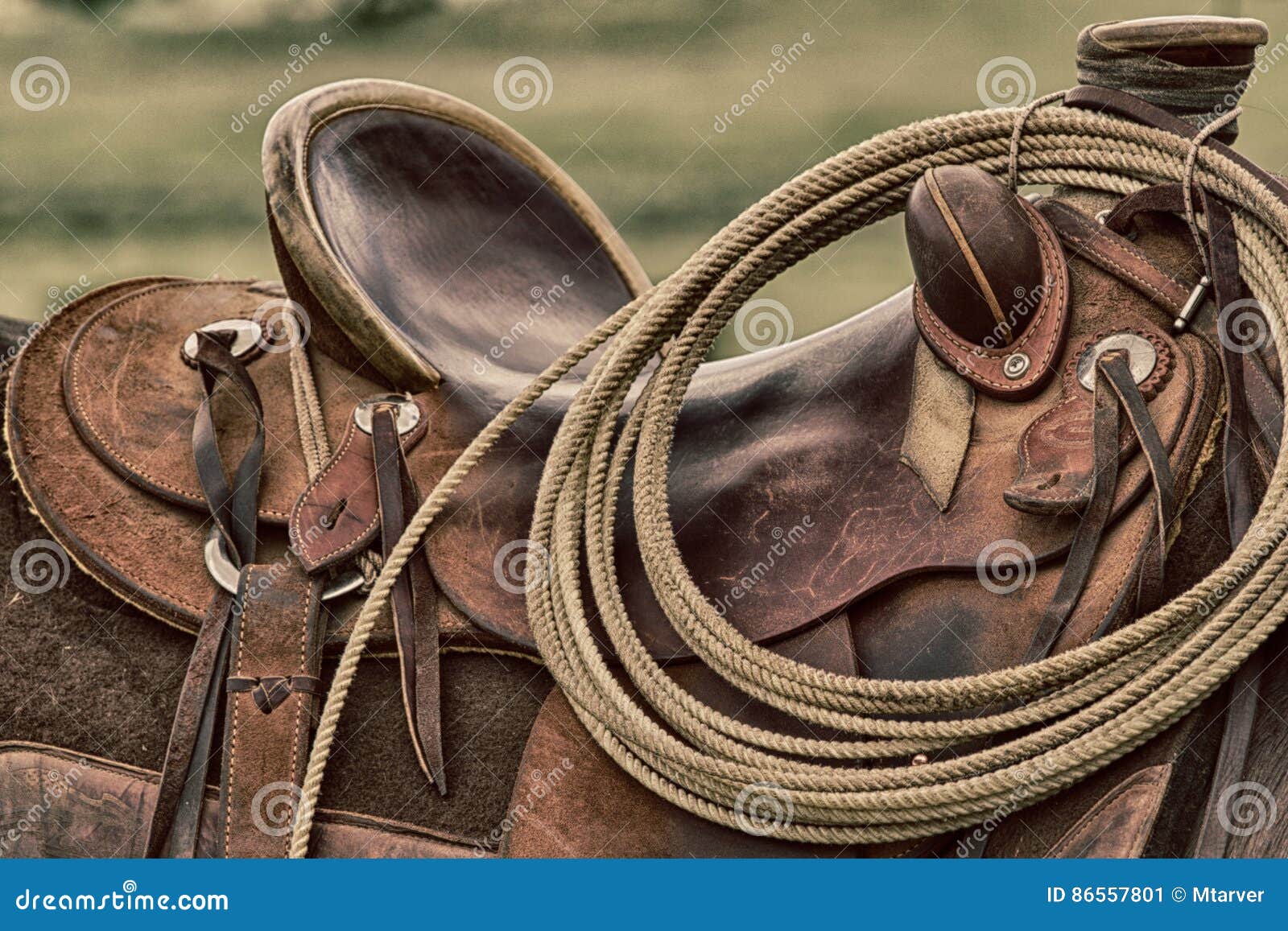 Saddle Up! stock image. Image of closeup, horse, ranch 86557801