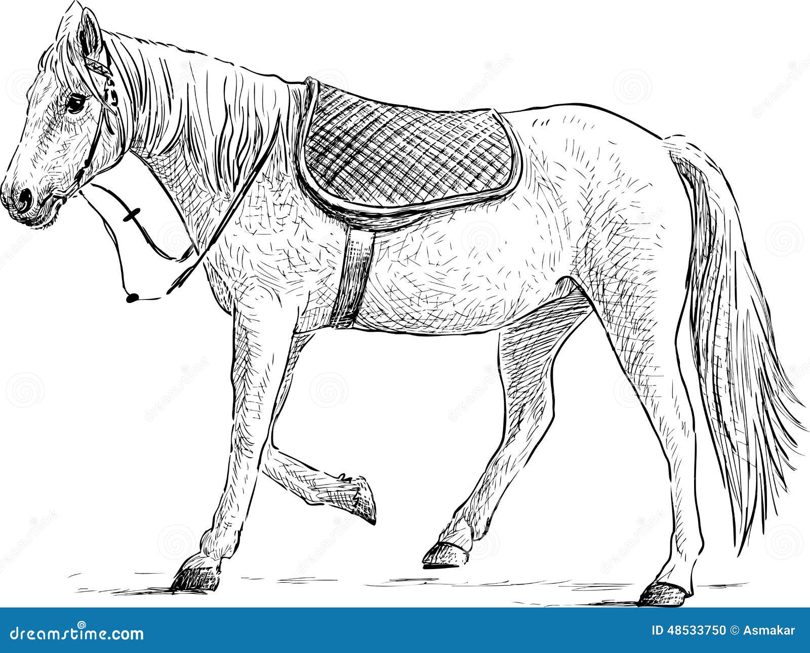 Saddled Horse Vector Illustration 38078218