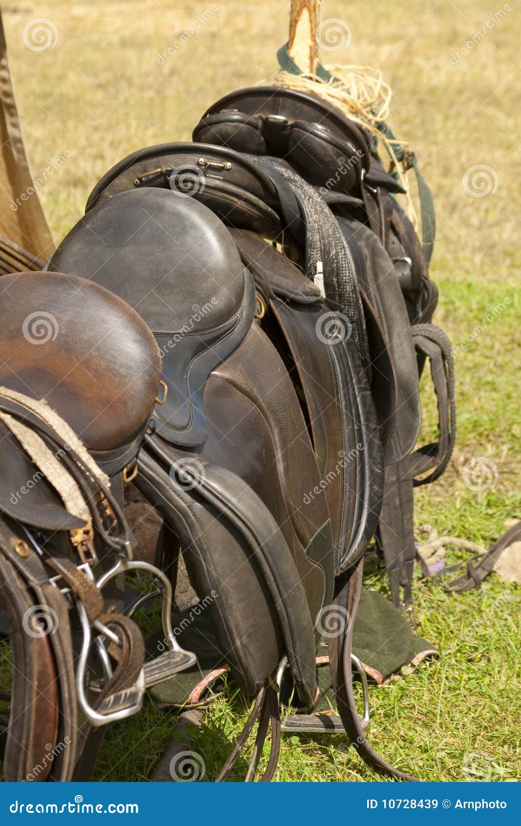 Saddles stock image. Image of riding, vikings, brown 10728439