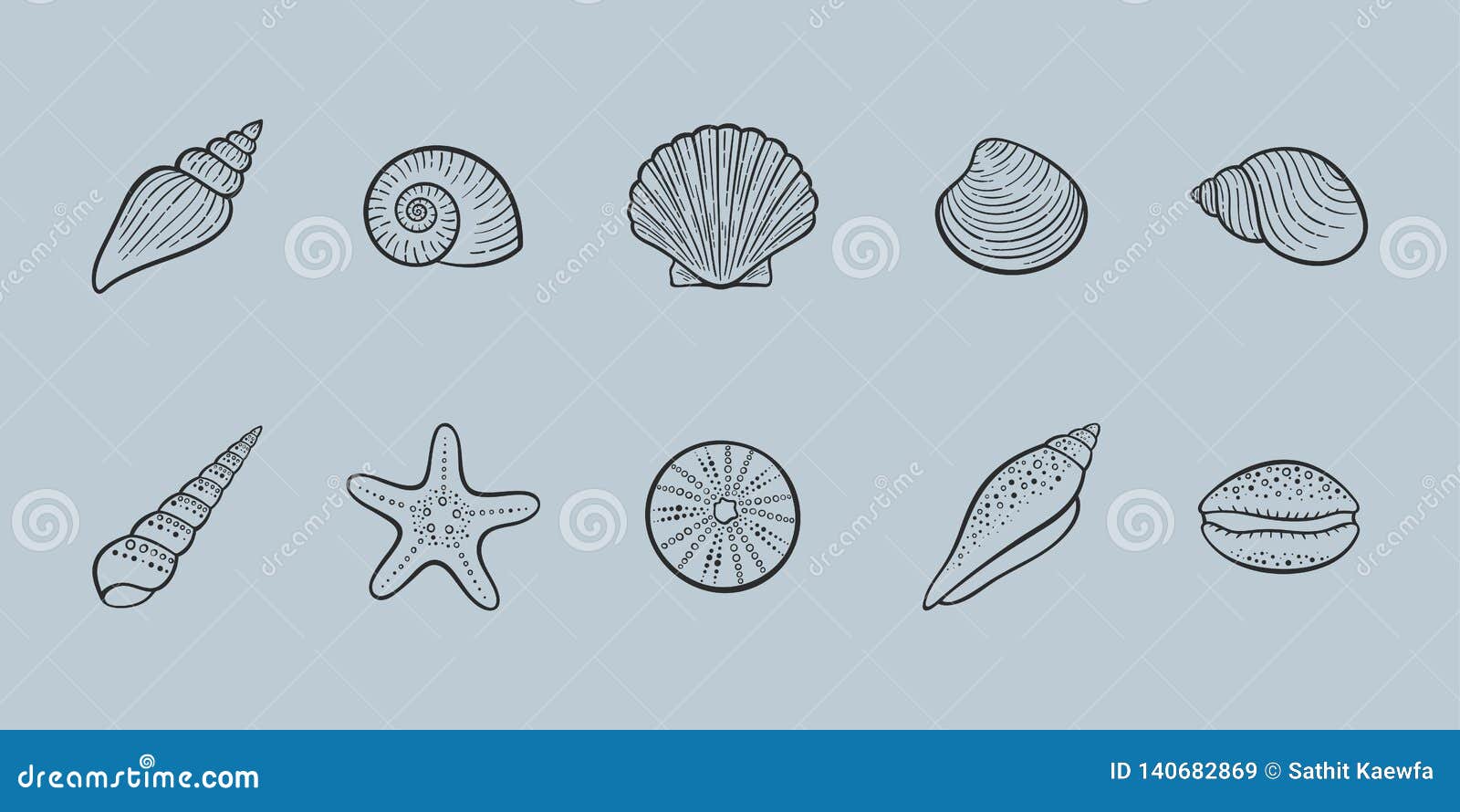 seashells  line icon set