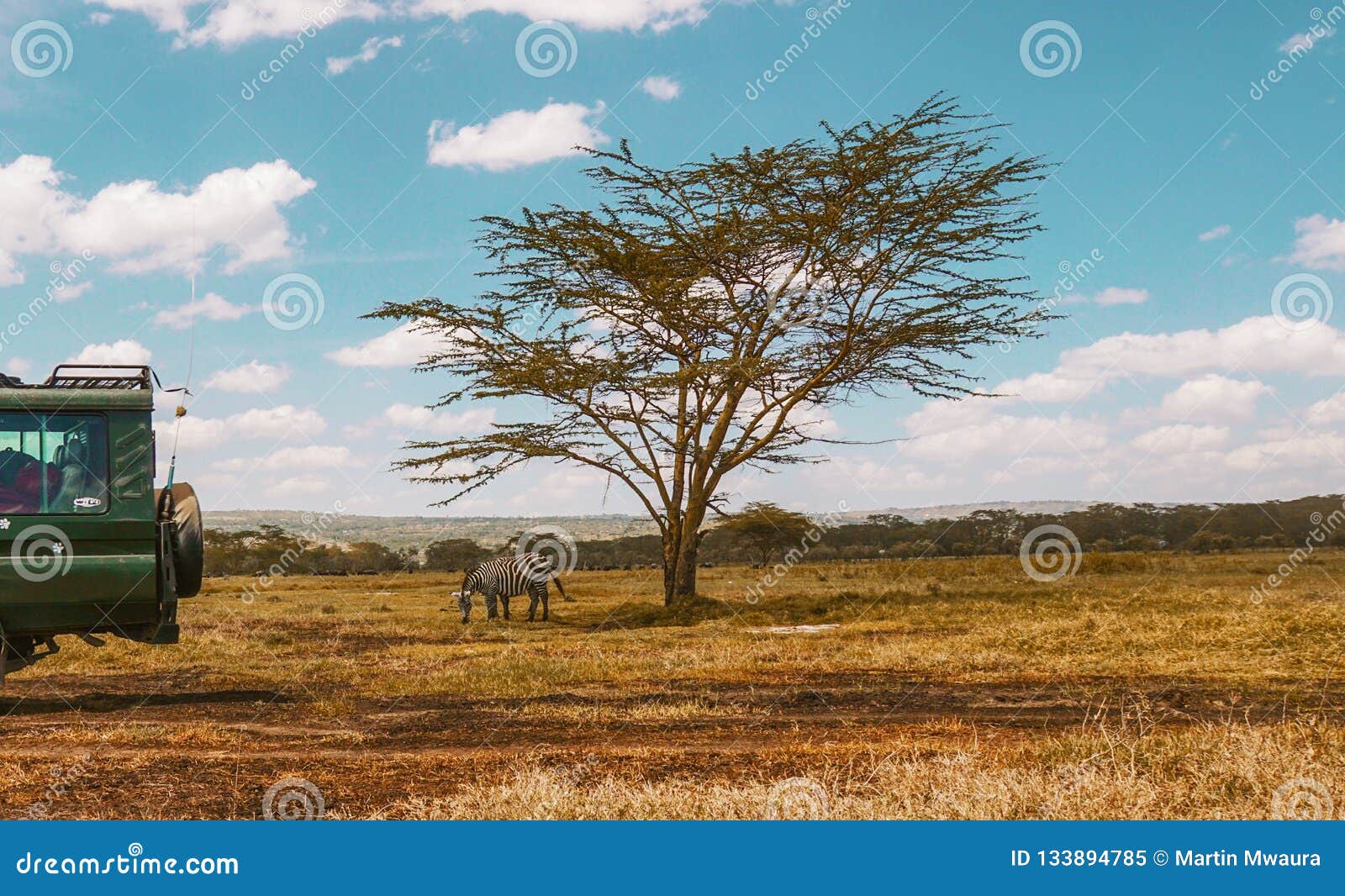 Safari Jeep Against the Background of Wild Animals at Lake Nakuru, Rift Valley, Kenya Stock Image - Image of lake, nakuru: 133894785 Safari Jeep Against the Background of Wild Animals at Lake Nakuru, Rift Valley, Kenya Stock Image - Image of lake, nakuru: 133894785