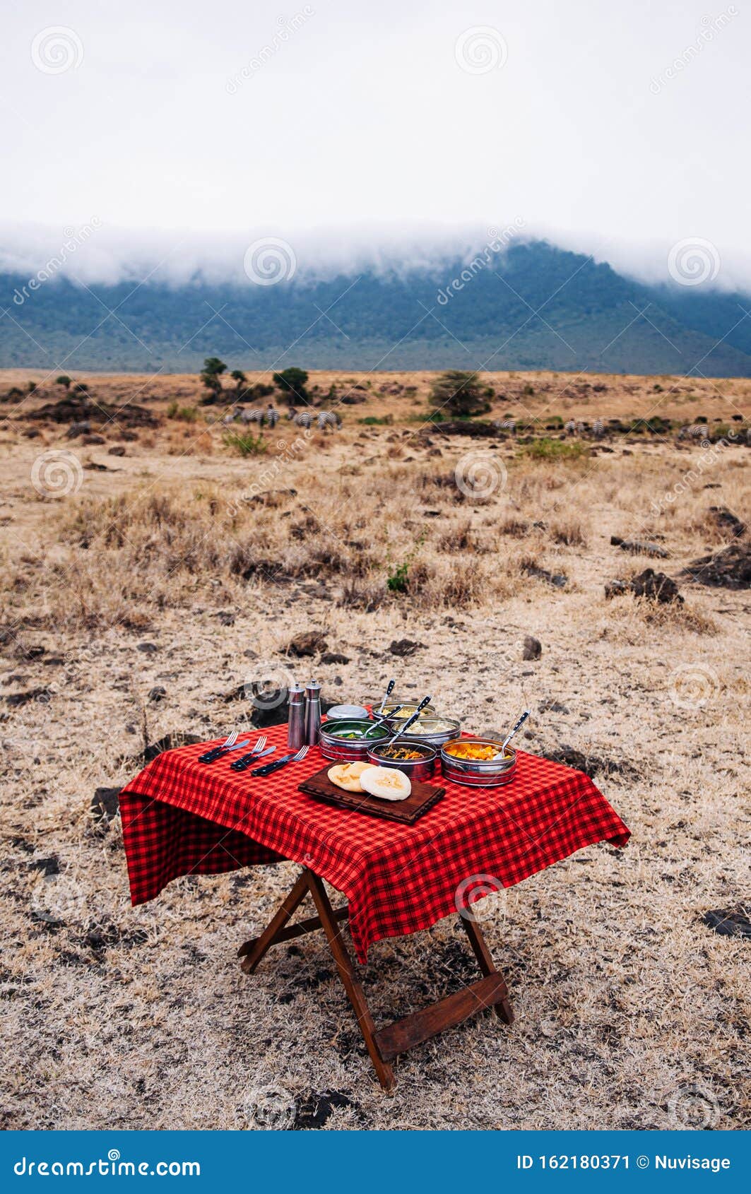 Safari Outdoor Picnic with African Tanzanian Cuisine with Baked Chapati ...