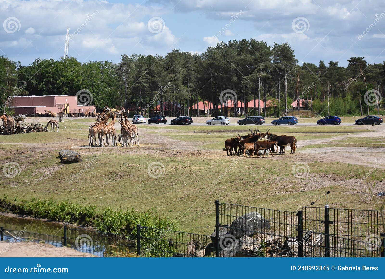 safari parc pays bas