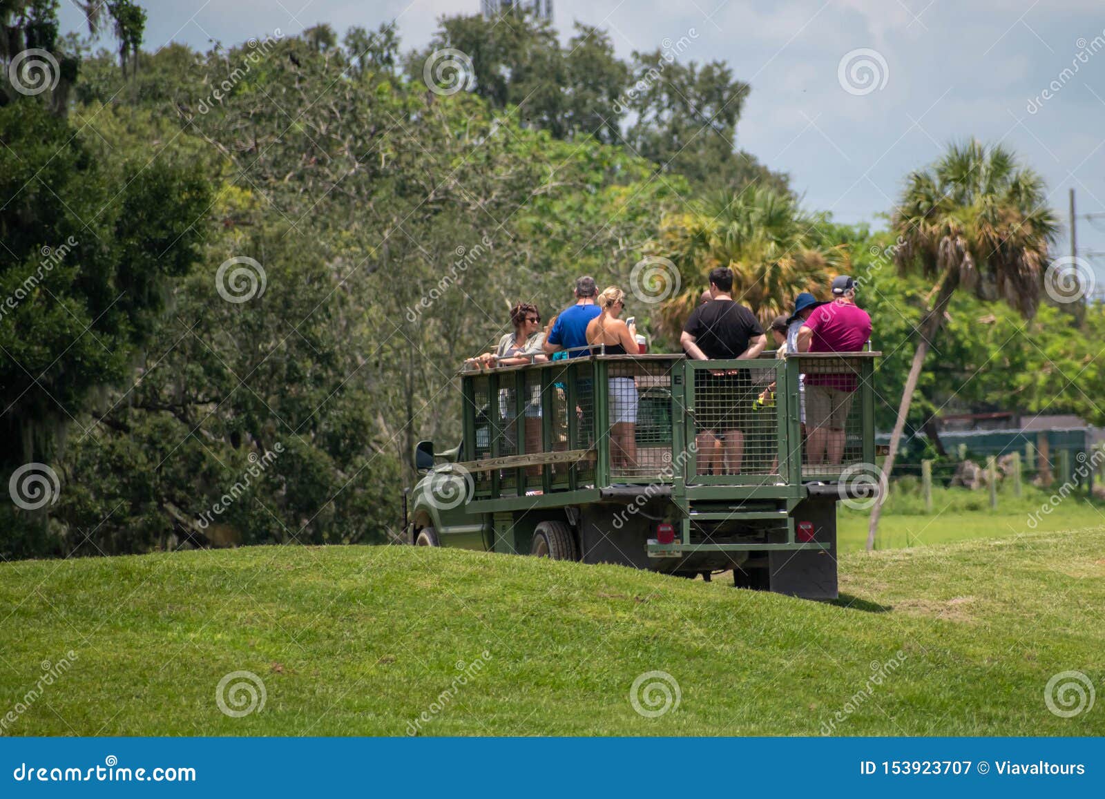 Safari Truck Moves Away From Giraffes And Zebras Area At Busch