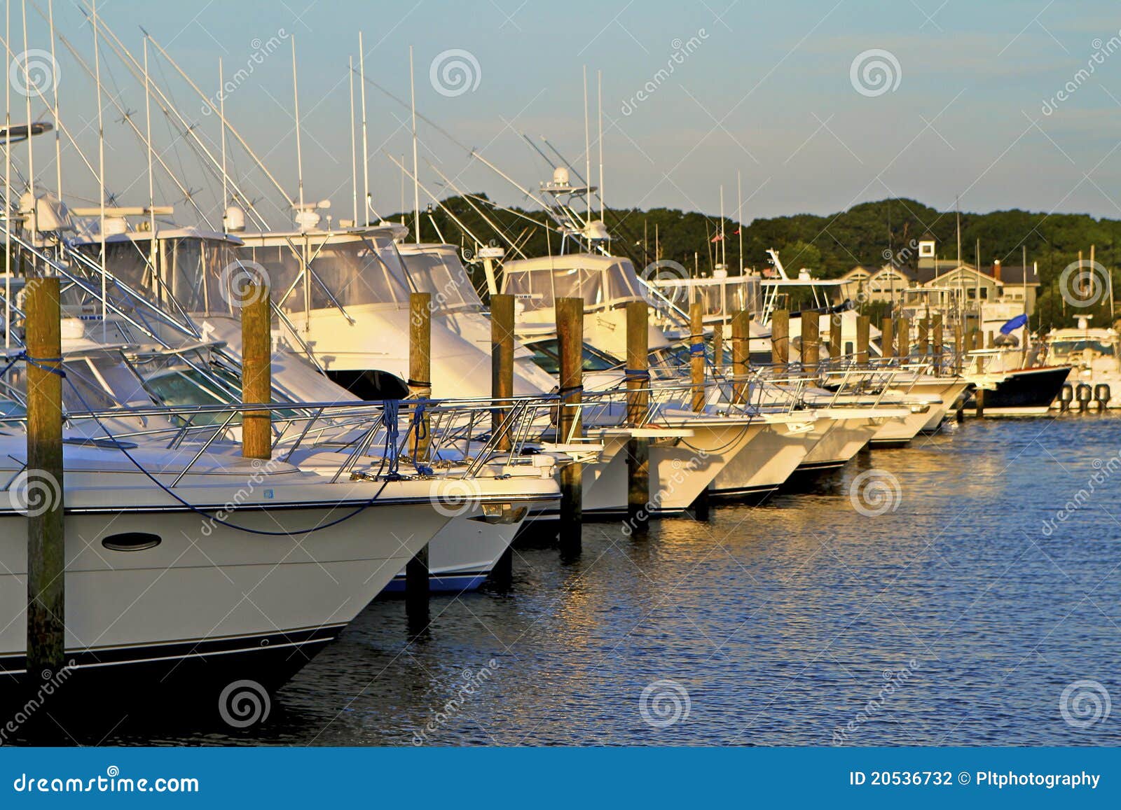 Safe Harbor, IIII stock photo. Image of fleet, montauk 20536732
