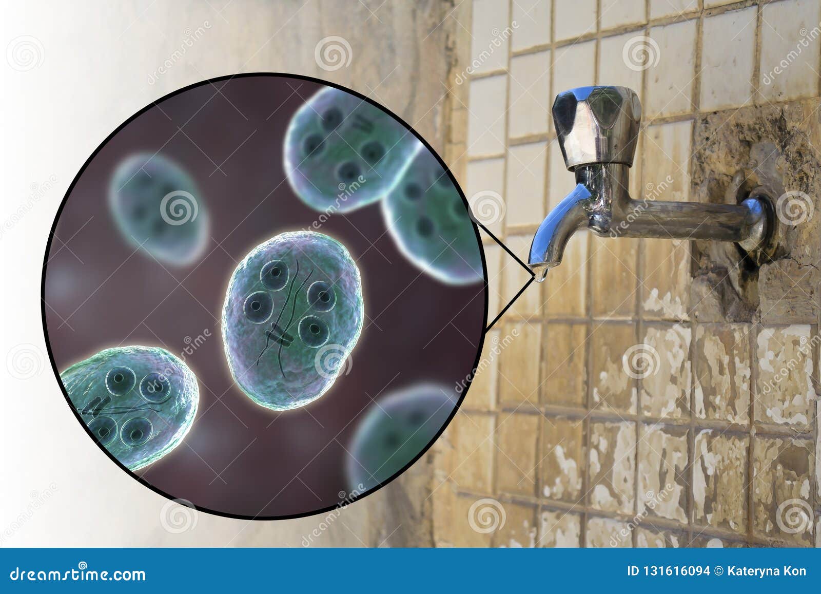 Giardia in drinking water