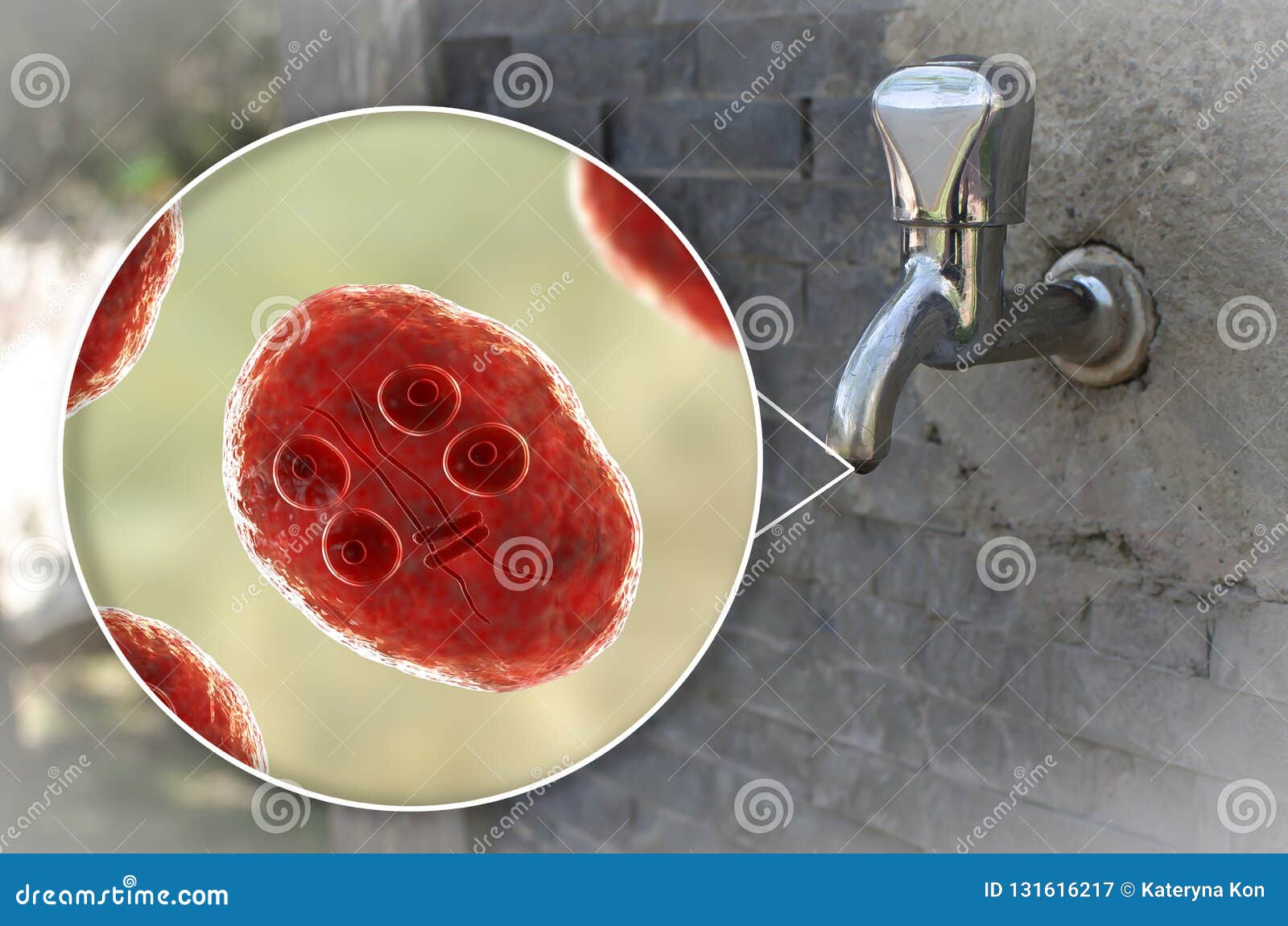 giardia in drinking water)