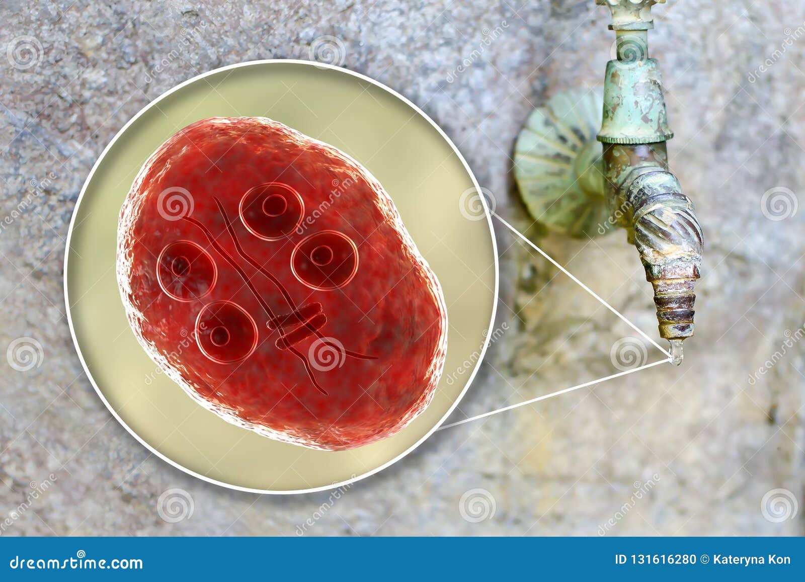 Lamblia kezelése furozolidonnal Giardia water filtration