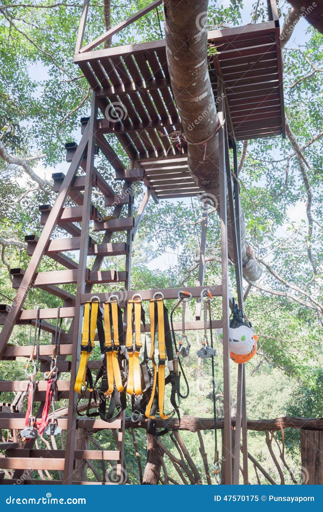 Safety Equipments for Climbing Tree Stock Image Image of objects