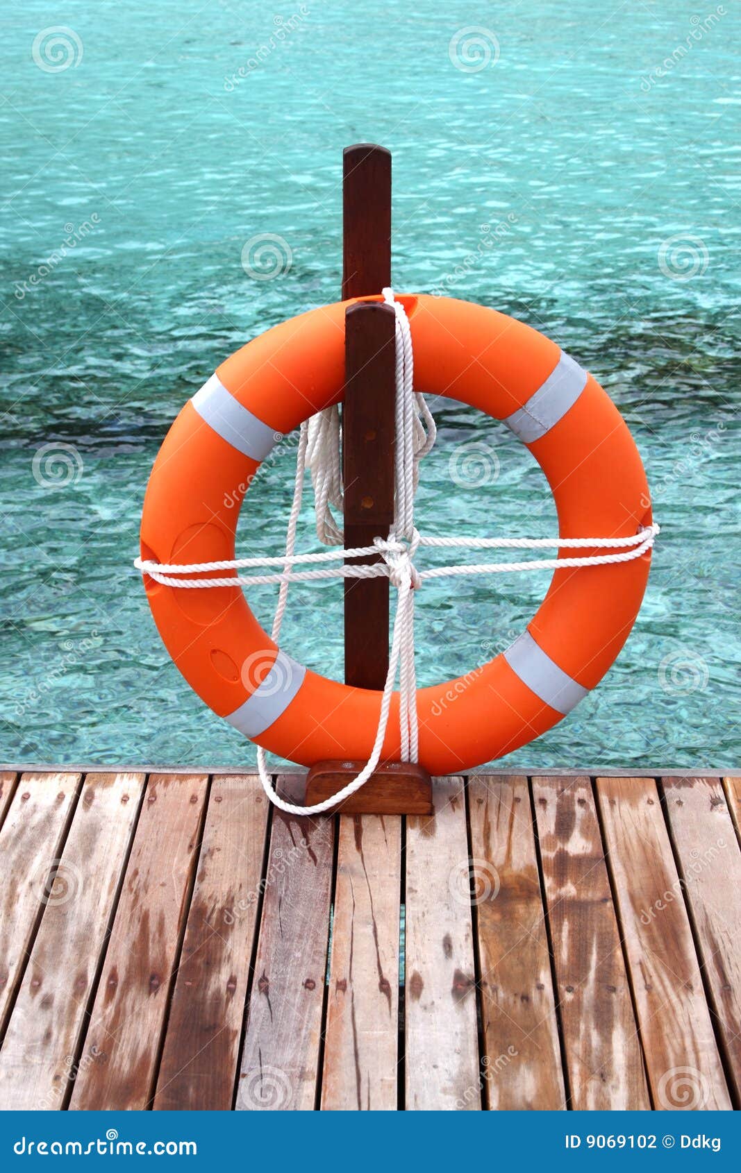 safety-ring-float-9069102.jpg