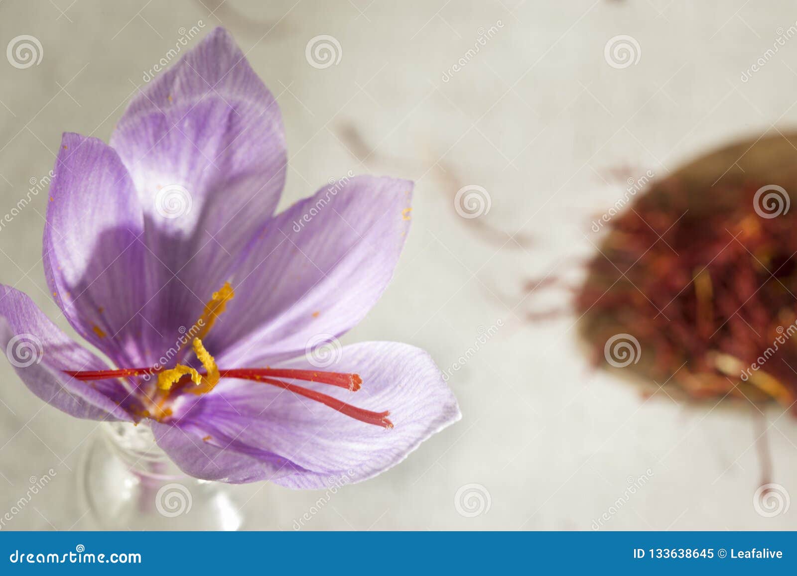 Saffron Flower and Types in a Spoon Stock Image Image of plant