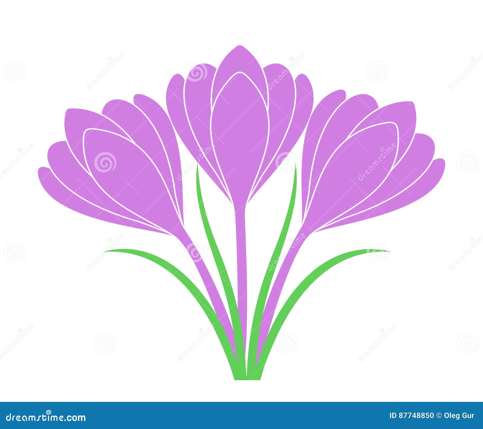 Saffron Flower stock vector. Illustration of bizarre 87748850