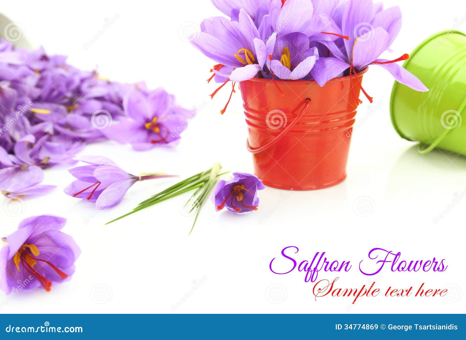 Saffron flowers stock image. Image of ingredient, greece 34774869