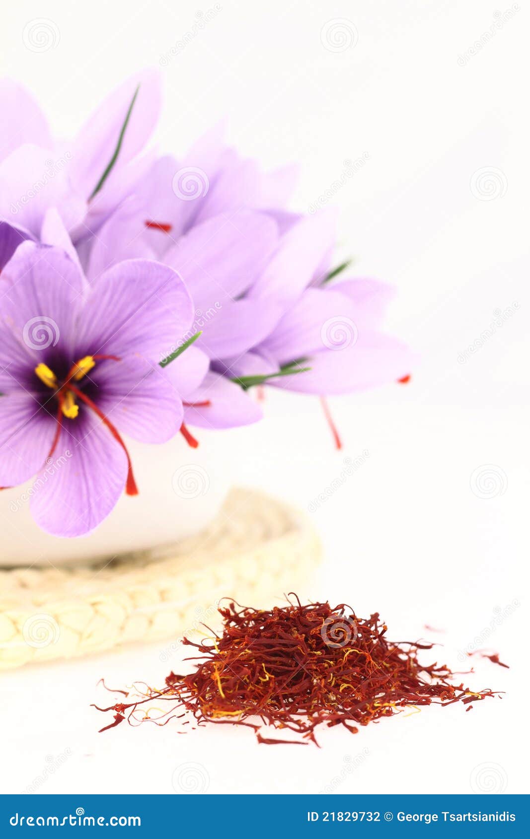 Saffron Spice And Saffron Flowers Stock Photo Image of blooming