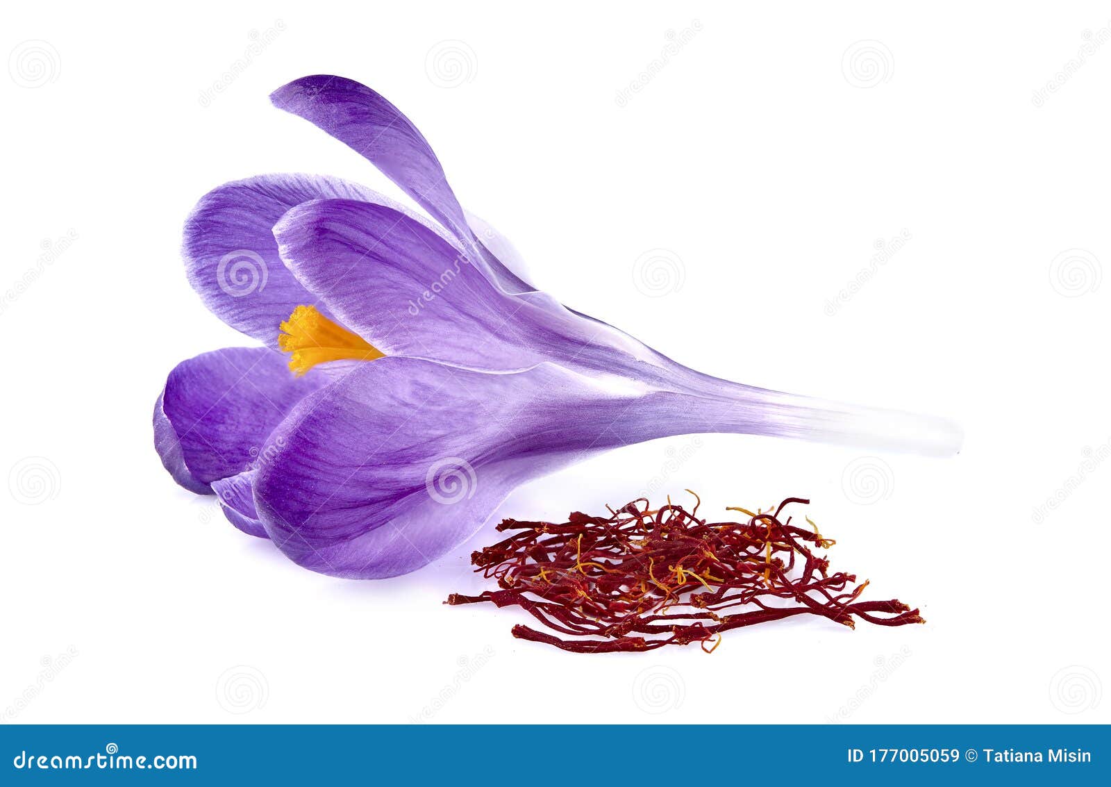 Saffron Spices with Flower in Closeup Stock Image Image of culinary
