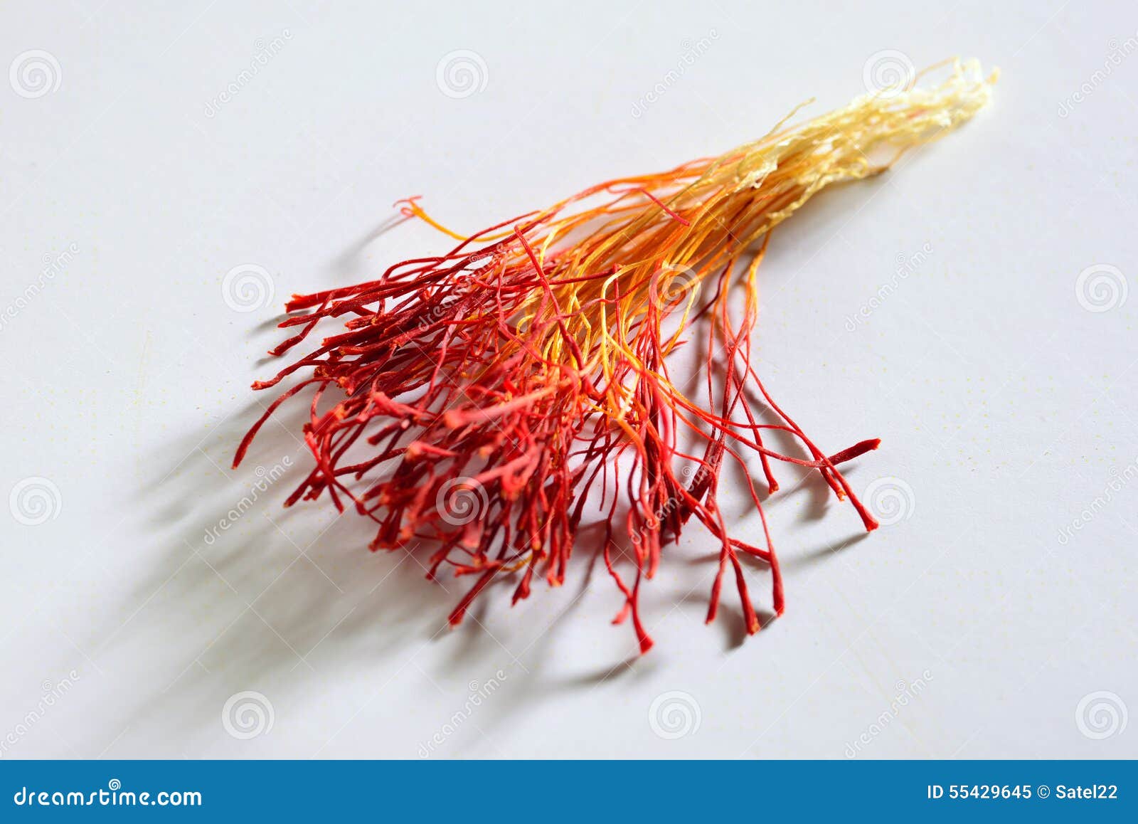 Saffron stigmas. stock image. Image of color, flower 55429645