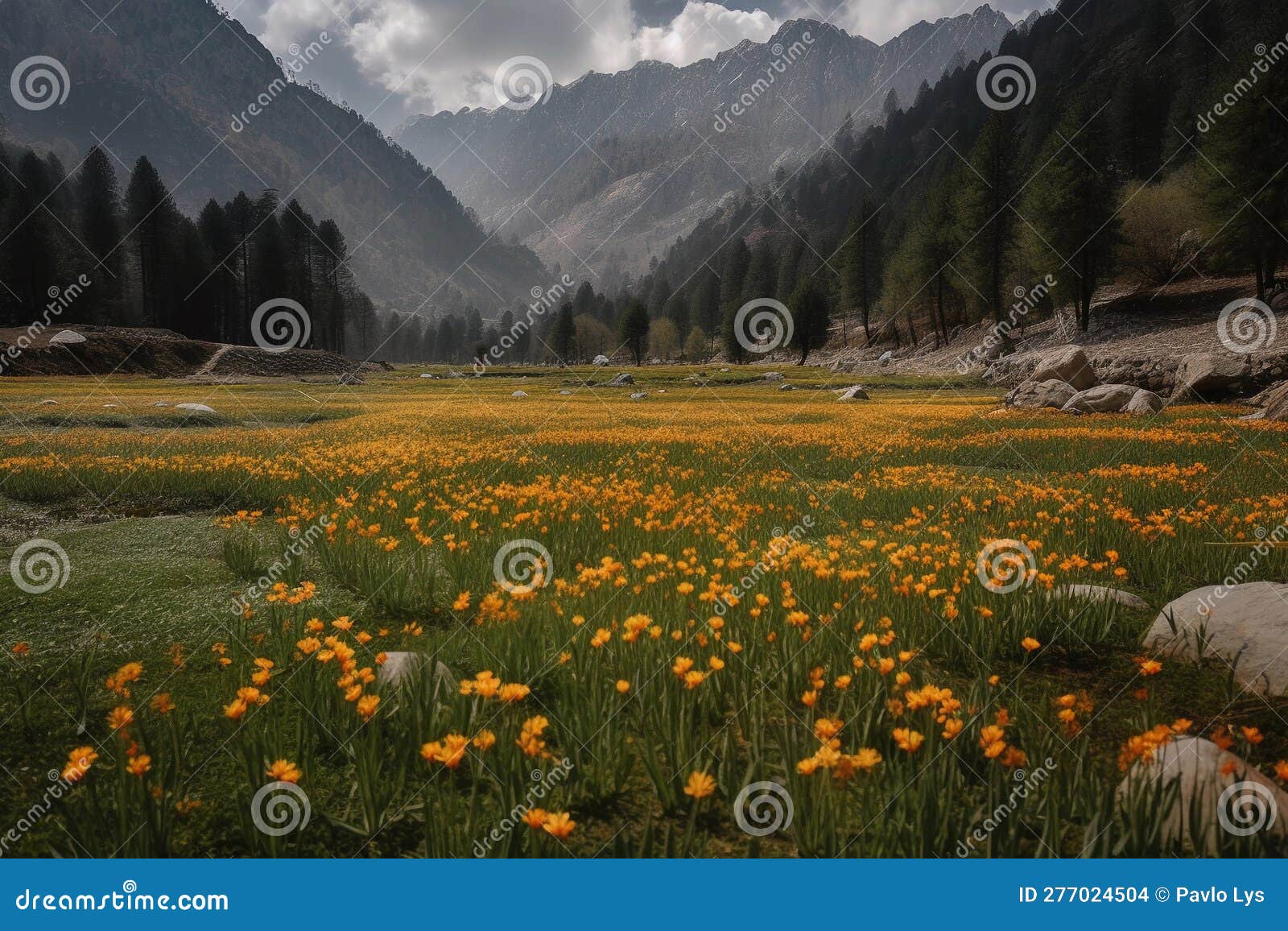 Saffron Valley. Beautiful Landscape Stock Illustration Illustration