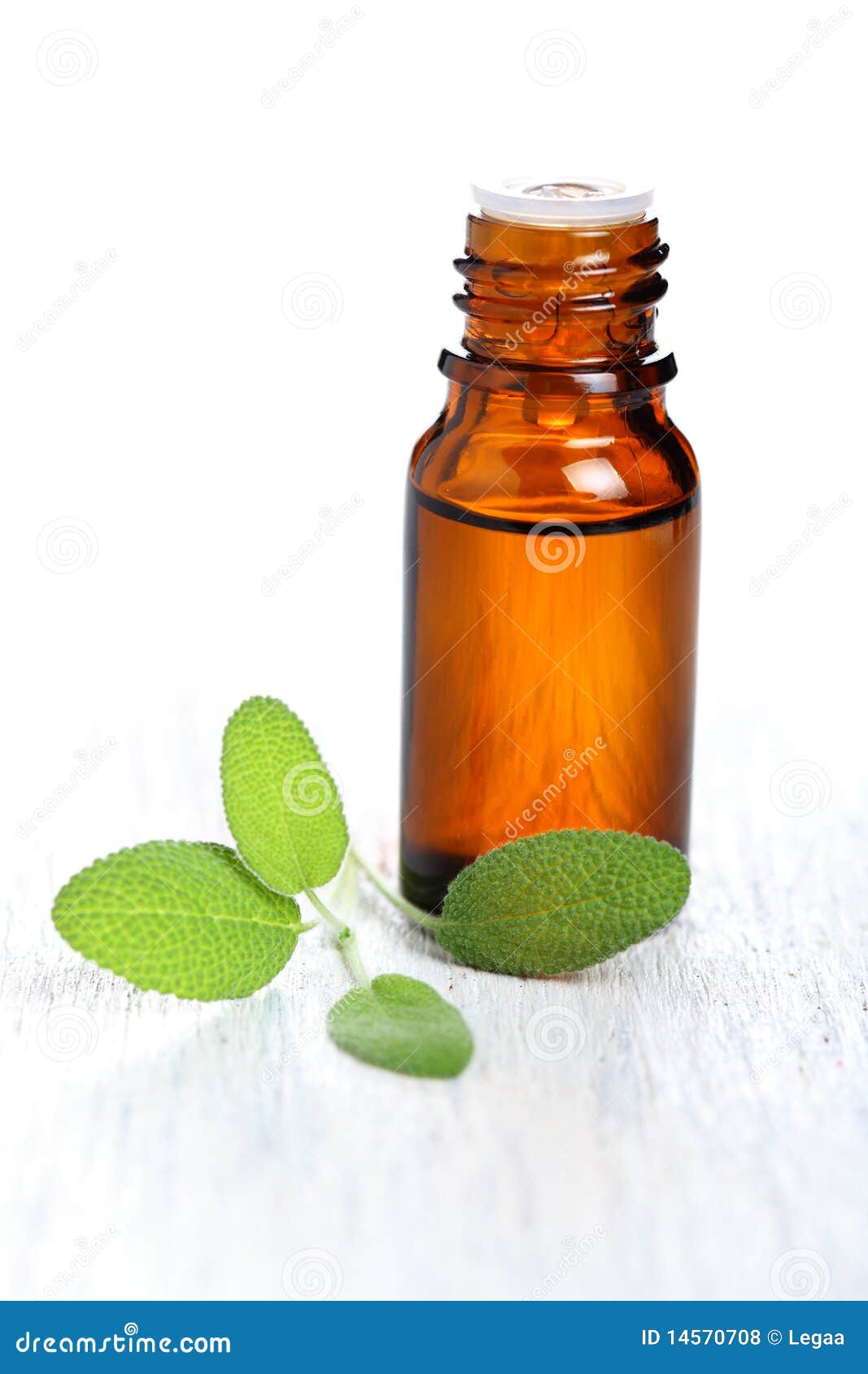 Sage herb leaves and an essential oil bottle. Sage herb leaves and an aromatherapy essential oil bottle