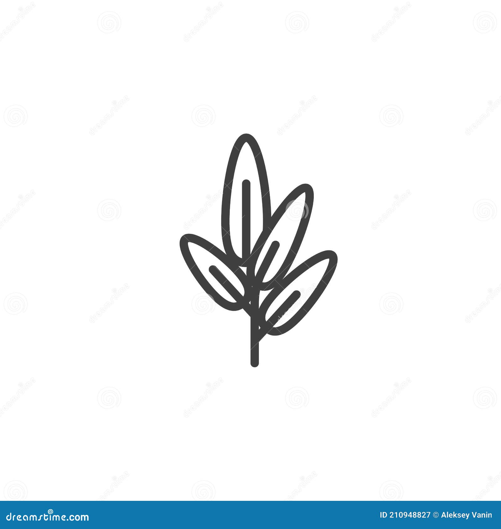 Sage Herb Line Icon Stock Vector Illustration Of Vector 210948827 sage-herb-line-icon-stock-vector-illustration-of-vector-210948827