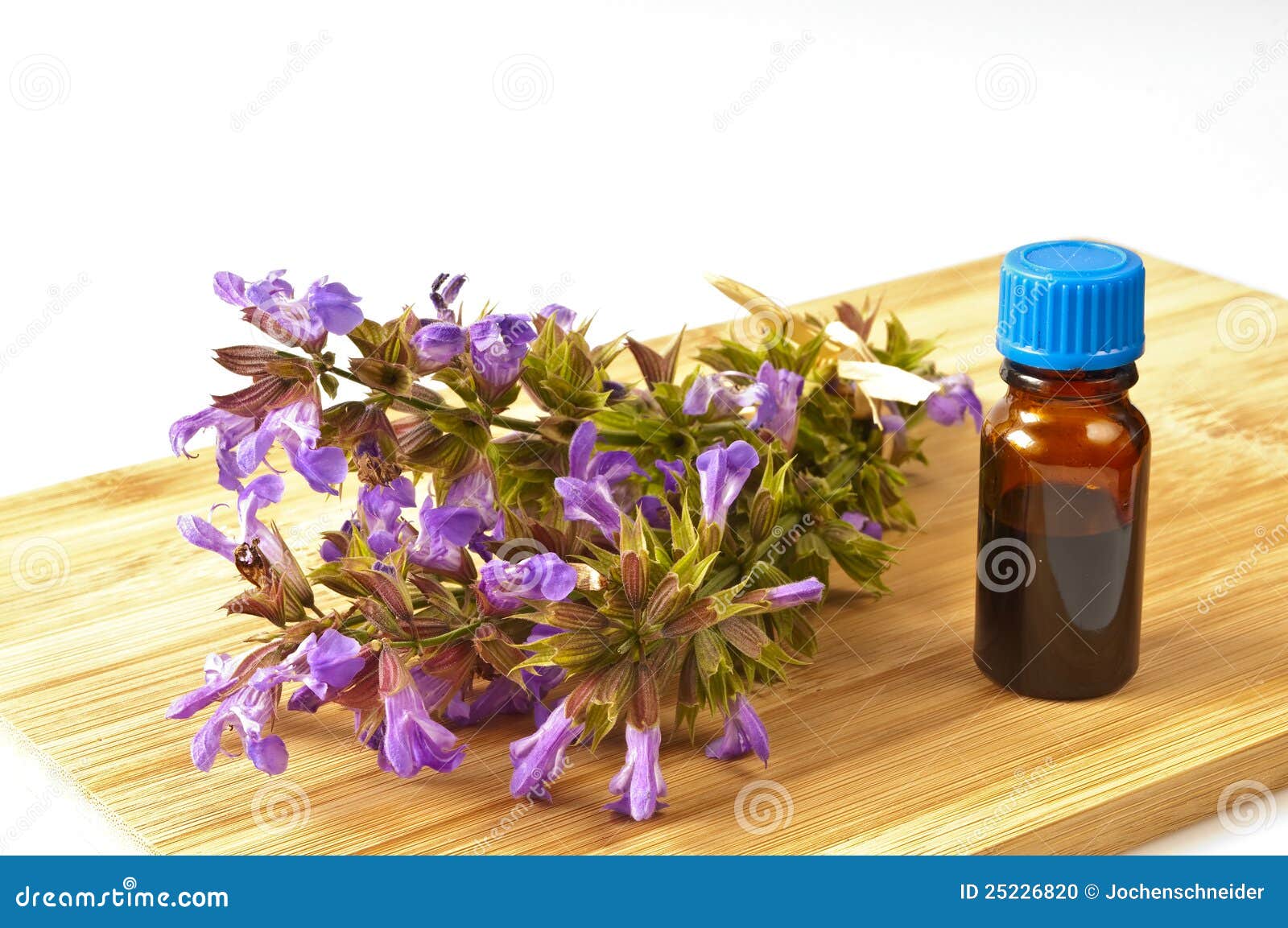 Sage with herbal tincture stock photo. Image of botany 25226820
