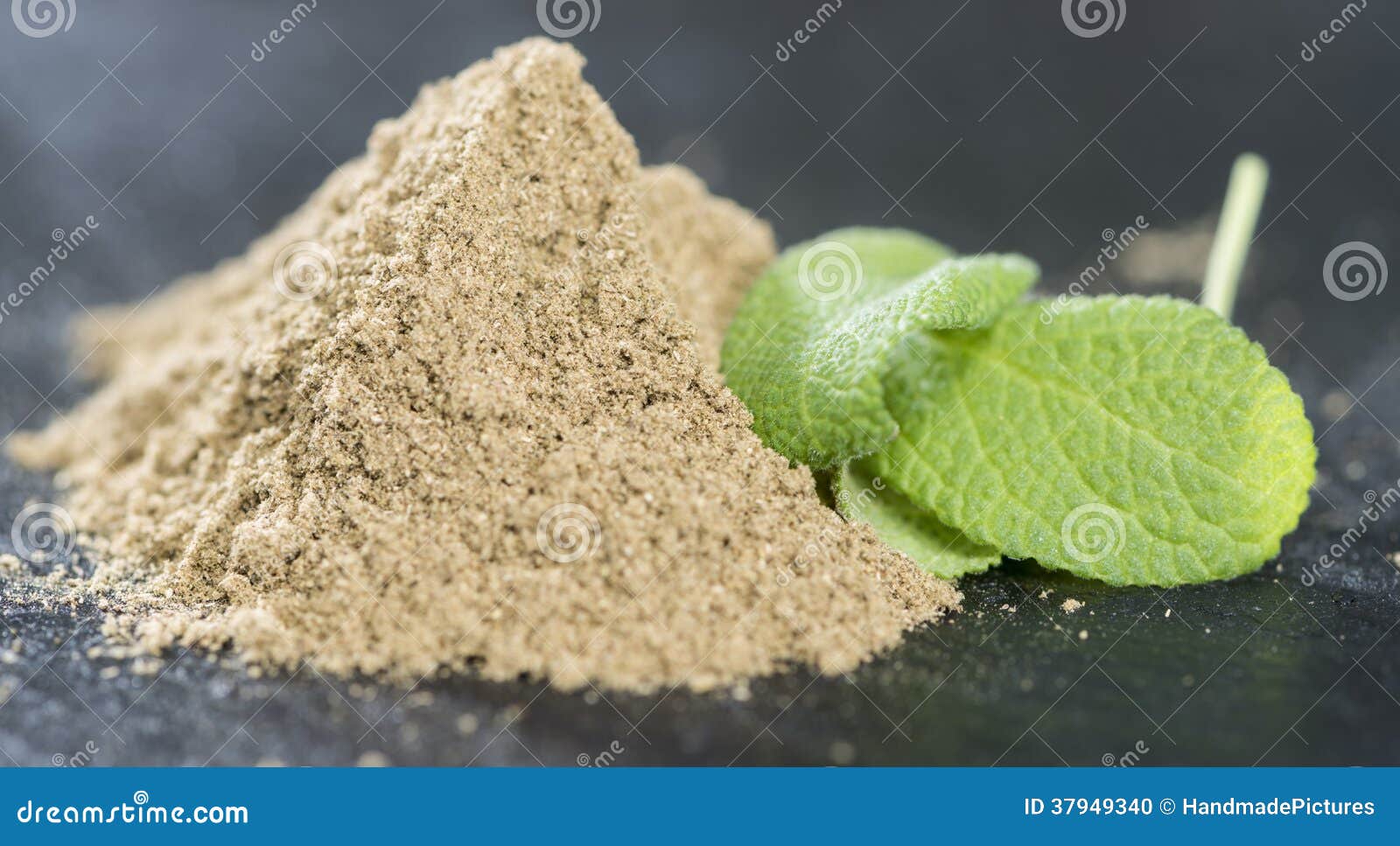 Sage Powder photo stock. Image du nourriture, sain, houseplant 37949340