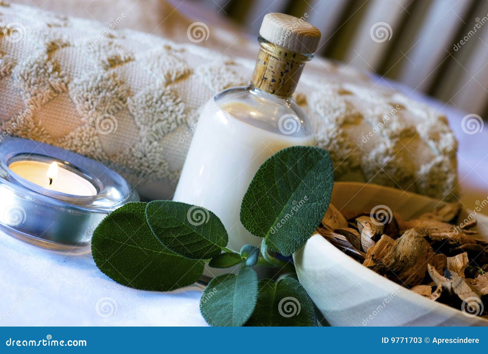Sage Spa Set Aromatherapy Stock Image Image of cooking, branch 9771703