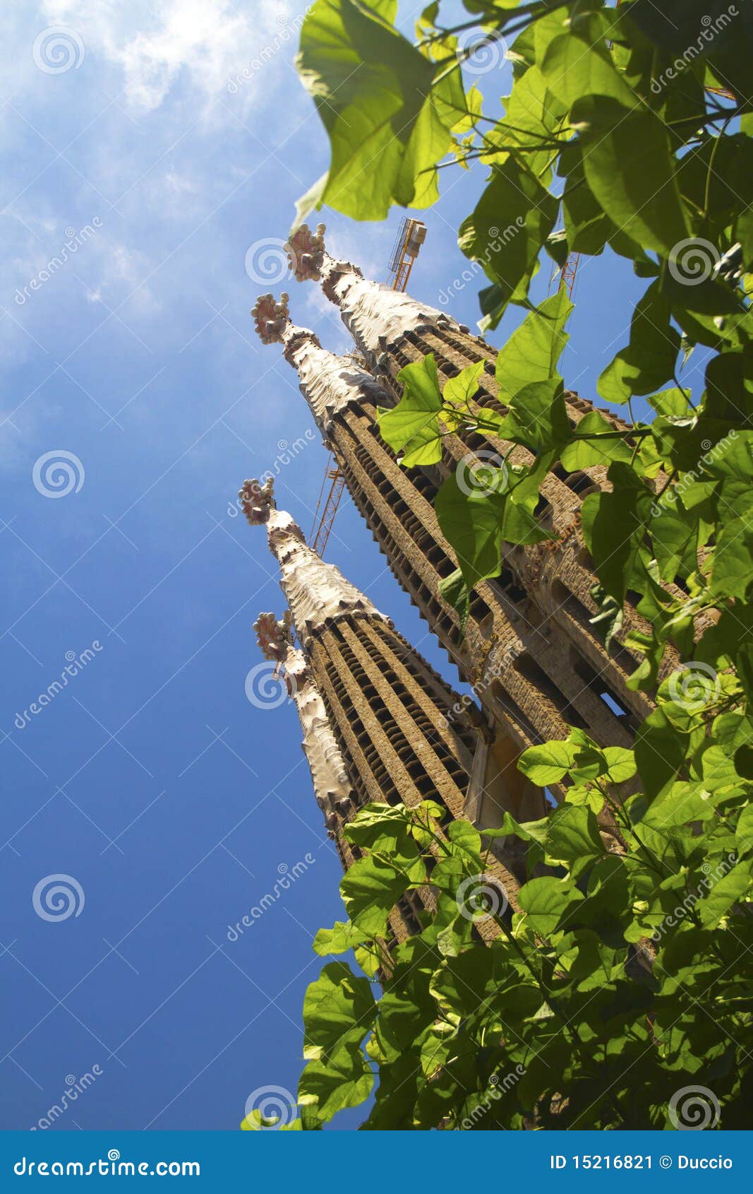 sagra familia