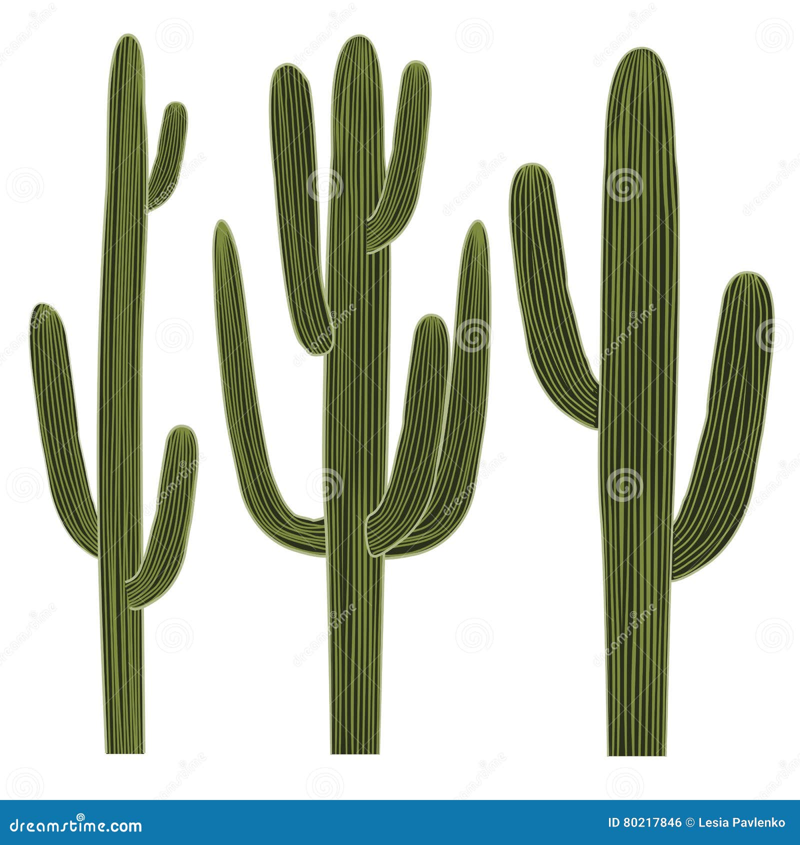 saguaro cactus set