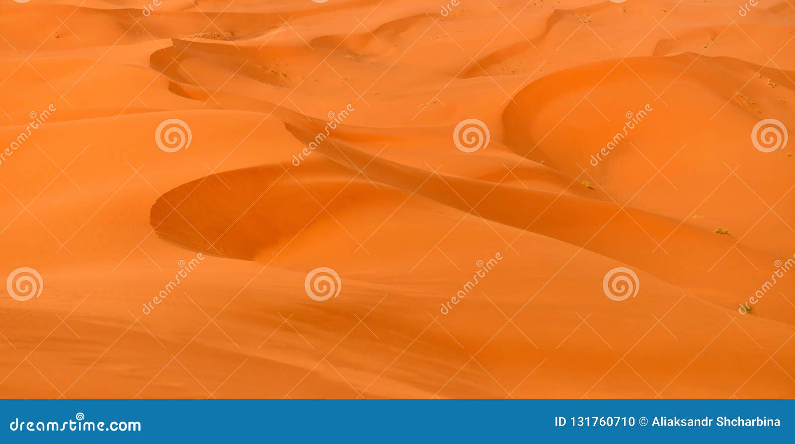 Sahara Desert Dunes at Dawn Stock Photo Image of orange, africa