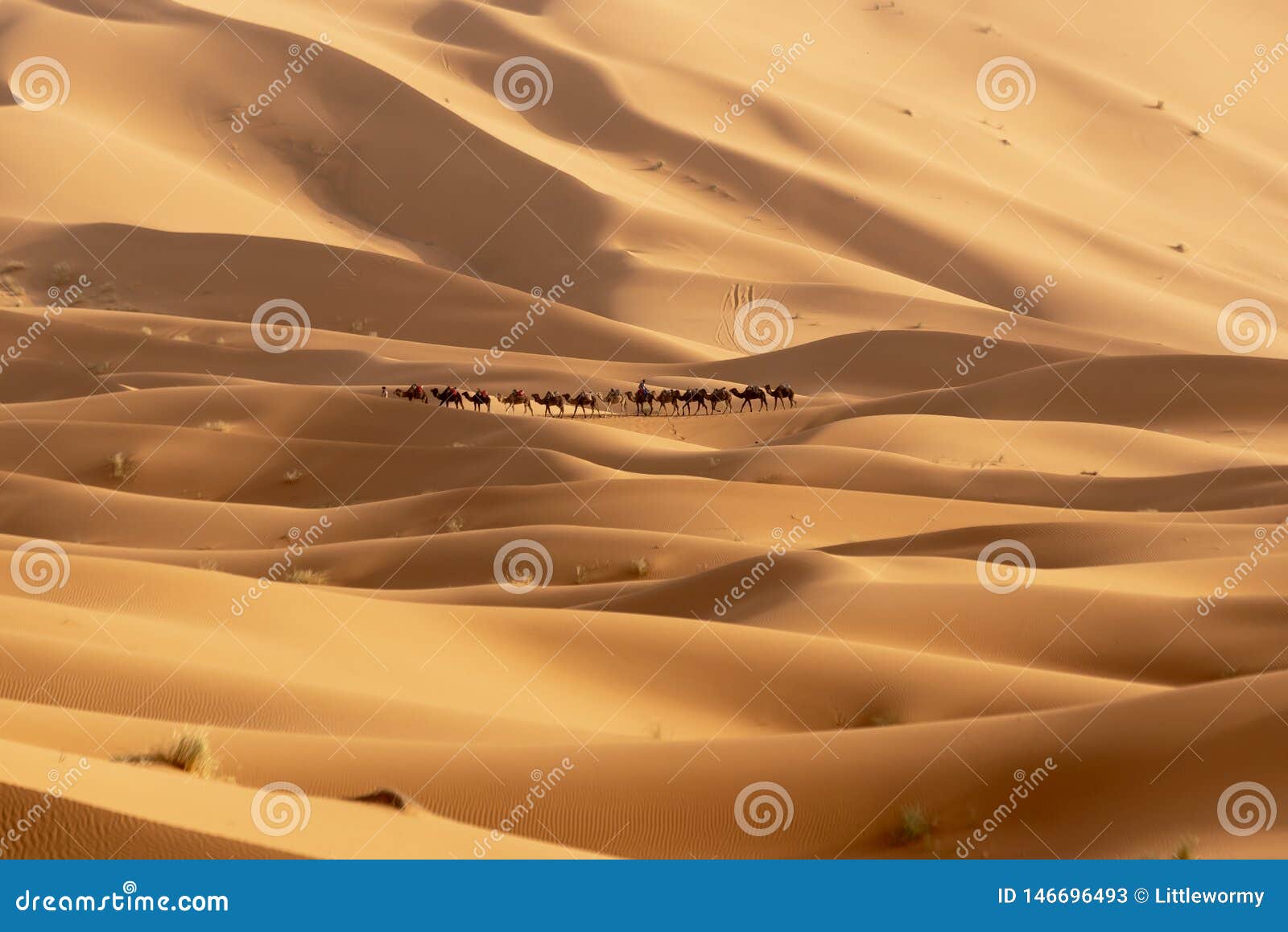 sahara desert in merzouga, morocco