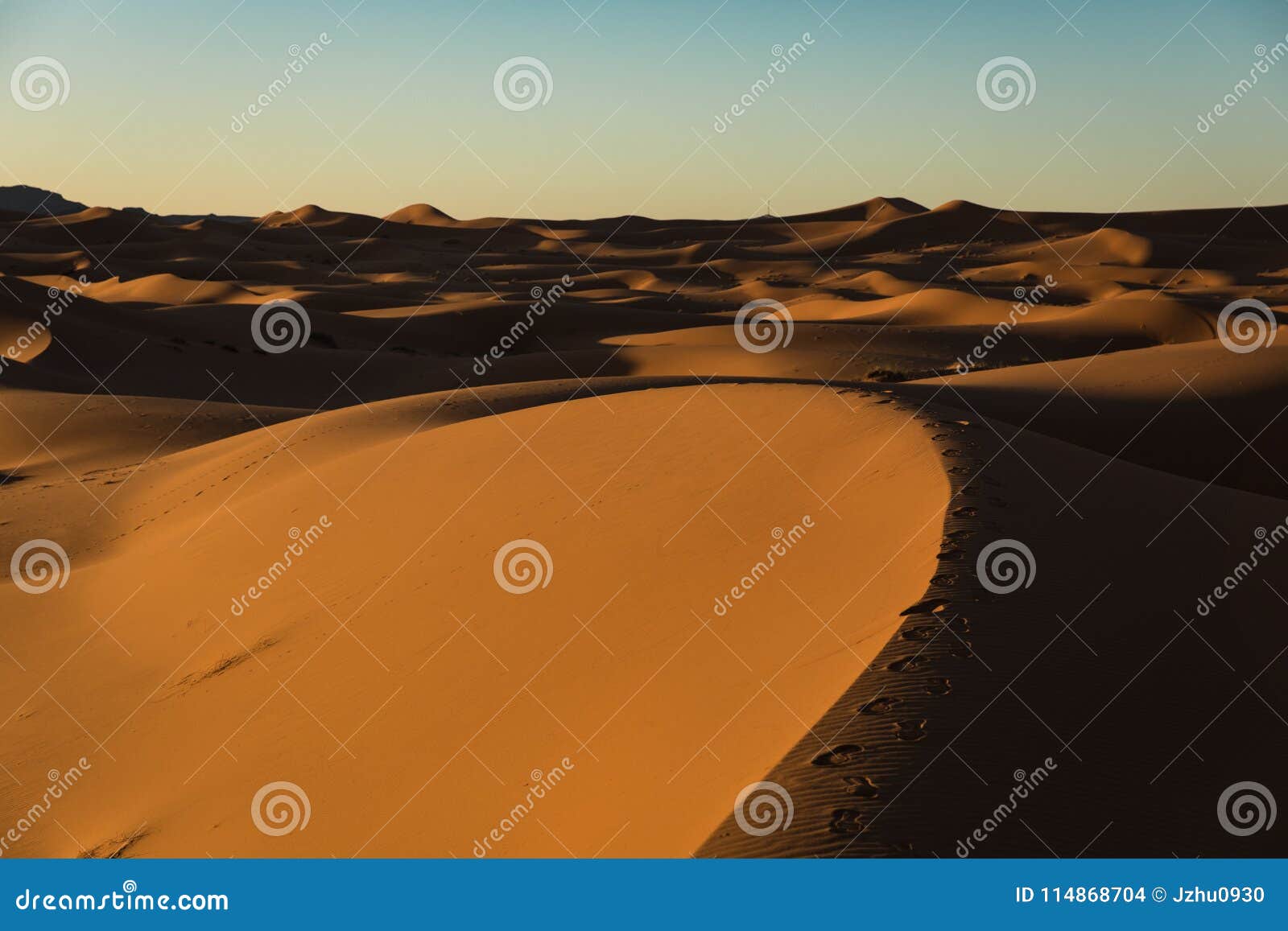 sahara desert sunset