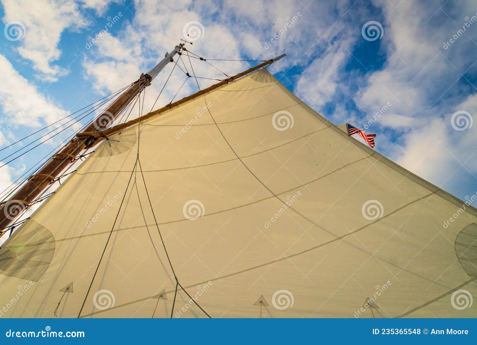 the sail on a historic  gaff-rigged `friendship` sloop