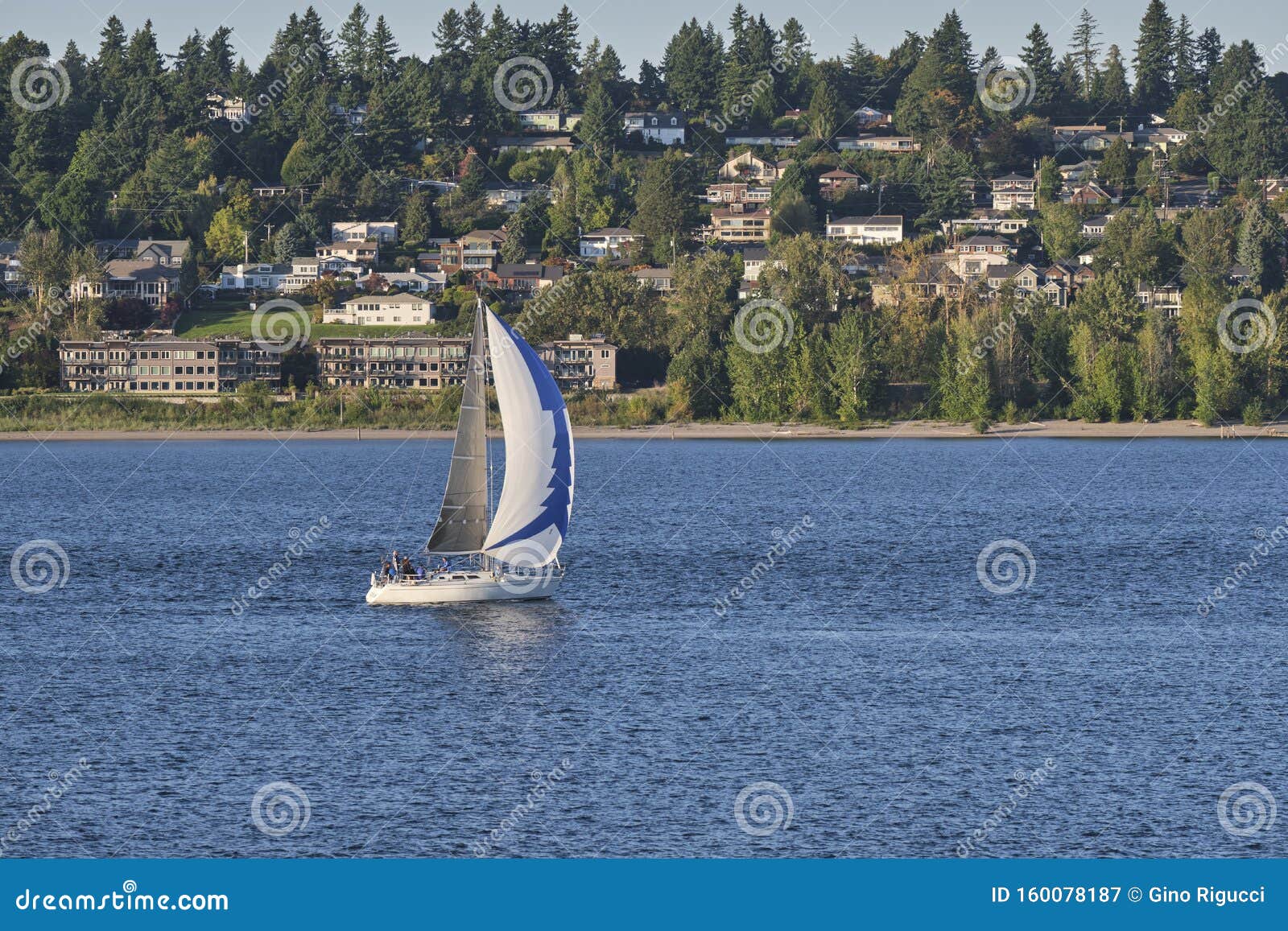 Sailboat on the Columbia River with Vancouver WA Stock Image - Image of