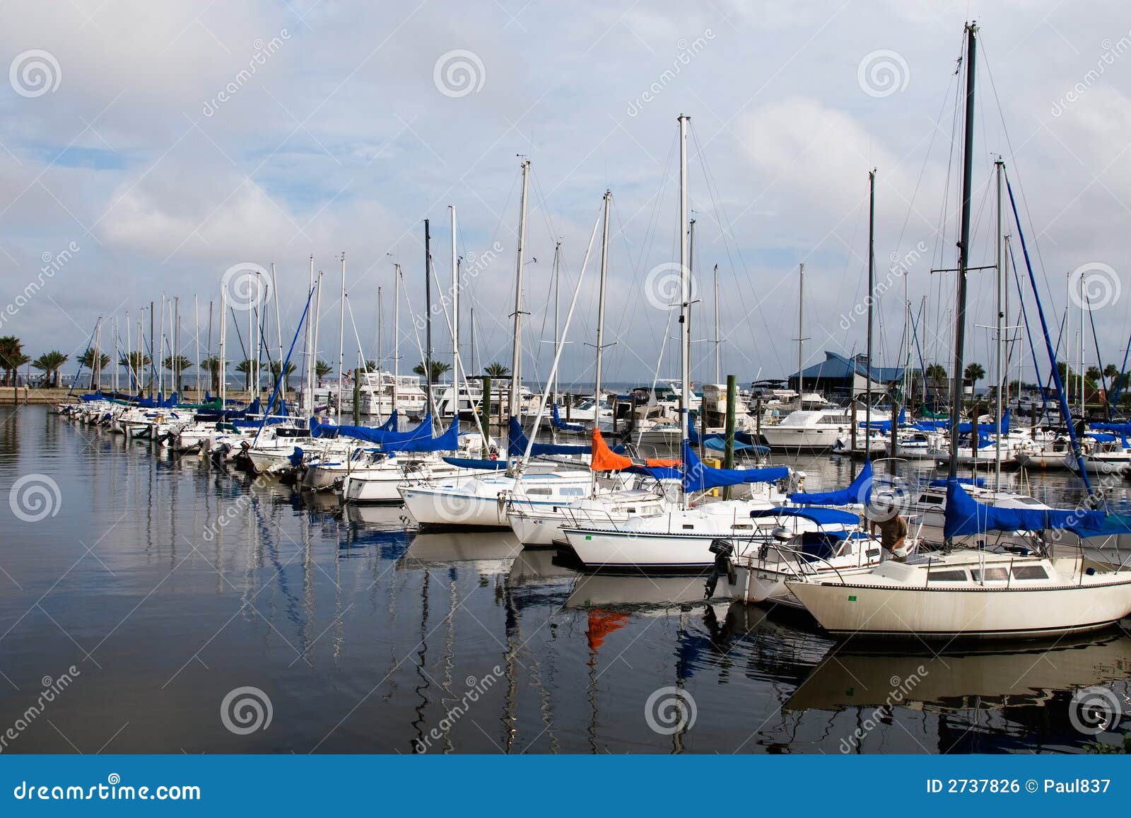 Sailboat Marina stock photo. Image of riches, mast, coast - 2737826