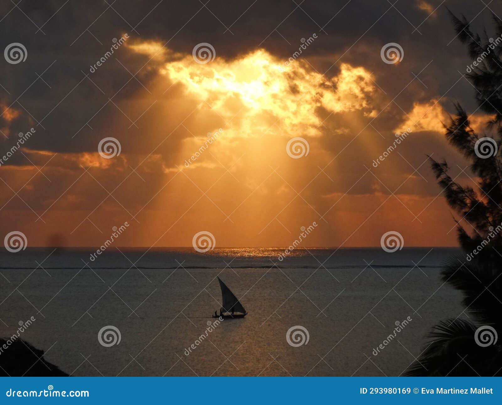 sailboat in the sea